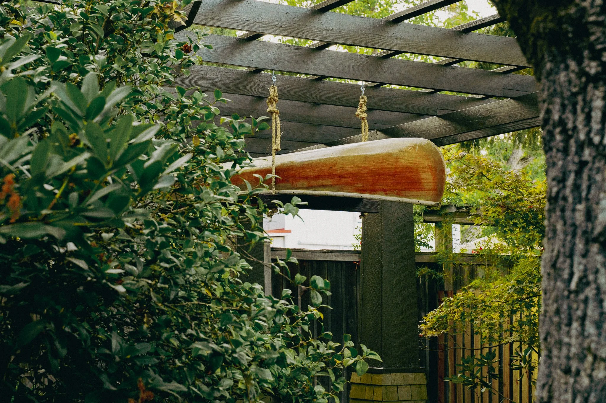 Wooden trellis with a swing made out of a canoe, surrounded by greenery and bushes, in a backyard.