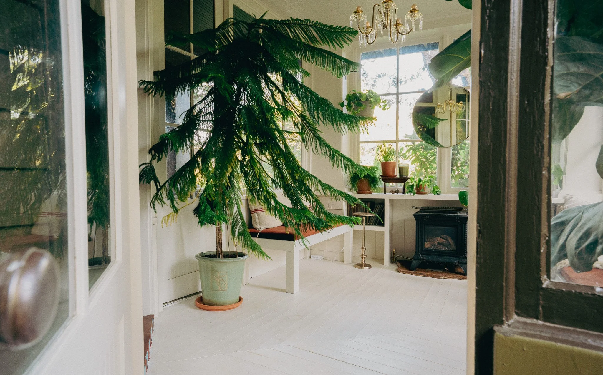 A sunlit sunroom with large windows, a large potted plant, a small table with potted plants, a chandelier, and a small black fireplace, viewed through a partially open door.