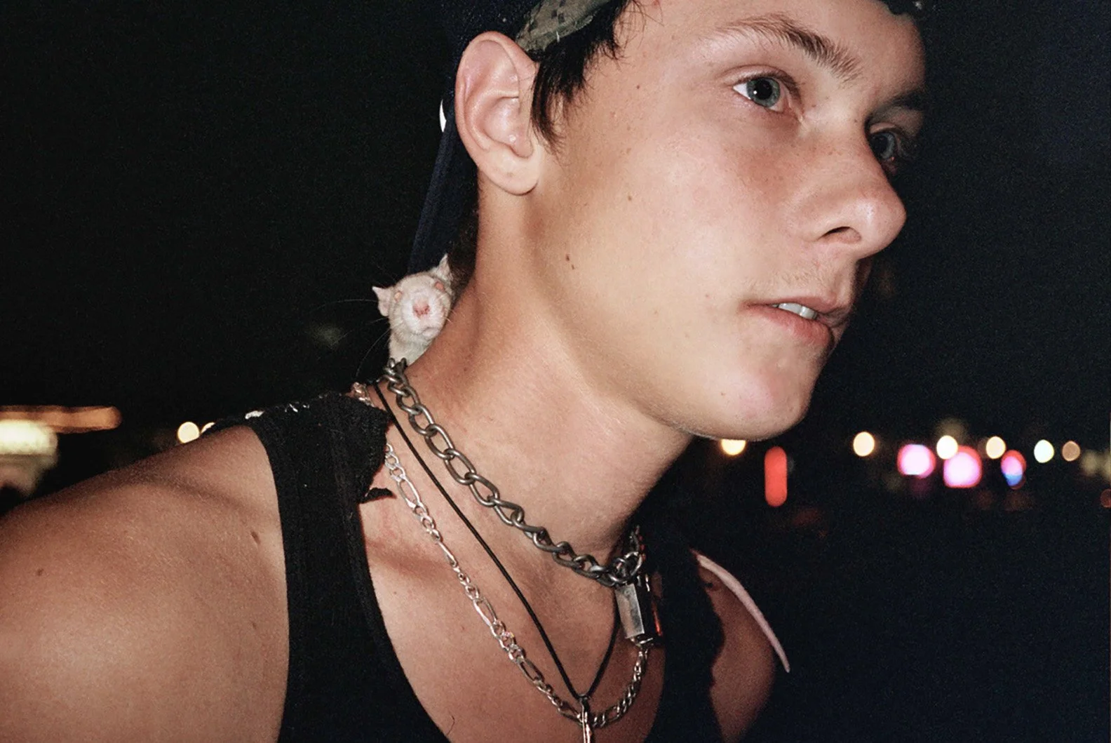 dana_gold_pnk17.jpg