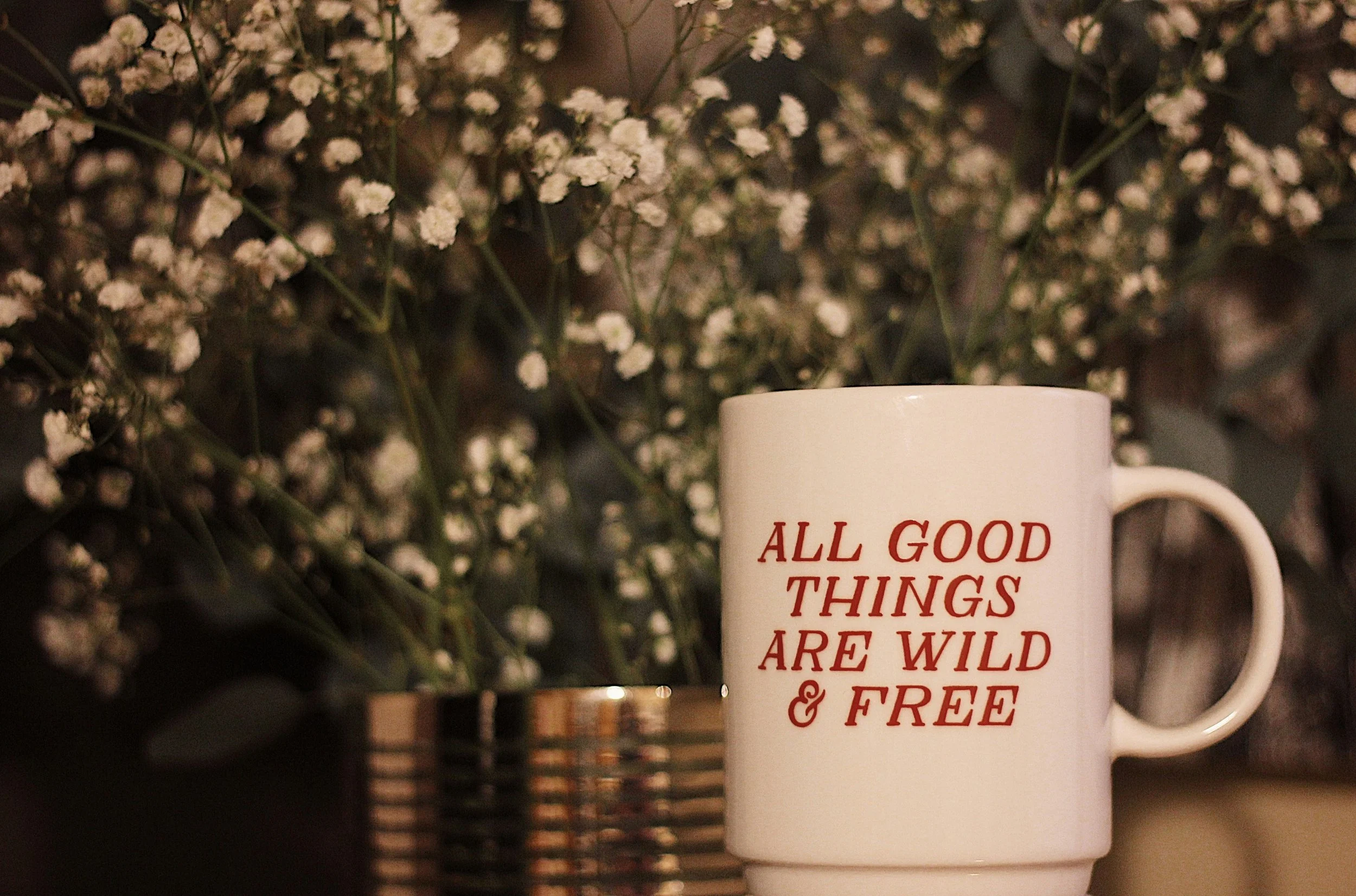 A white mug with red text that reads 'ALL GOOD THINGS ARE WILD & FREE' is placed in front of a background of white baby's breath flowers and some greenery.