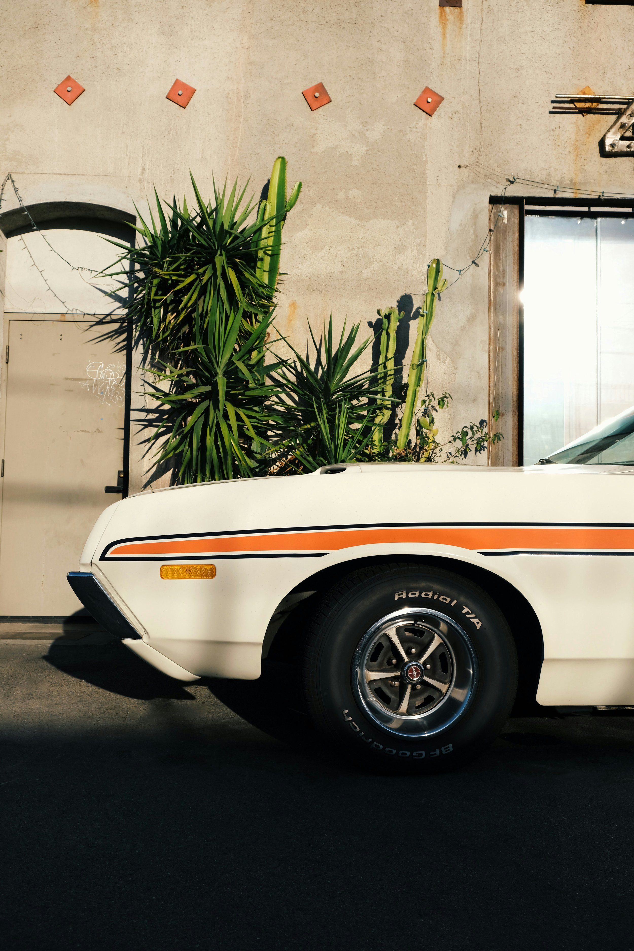 Part of a vintage white car with orange and black stripe, parked on a dark asphalt street. The background features a beige wall with cactus and palm plants, a window, fairy lights, and some rust marks.