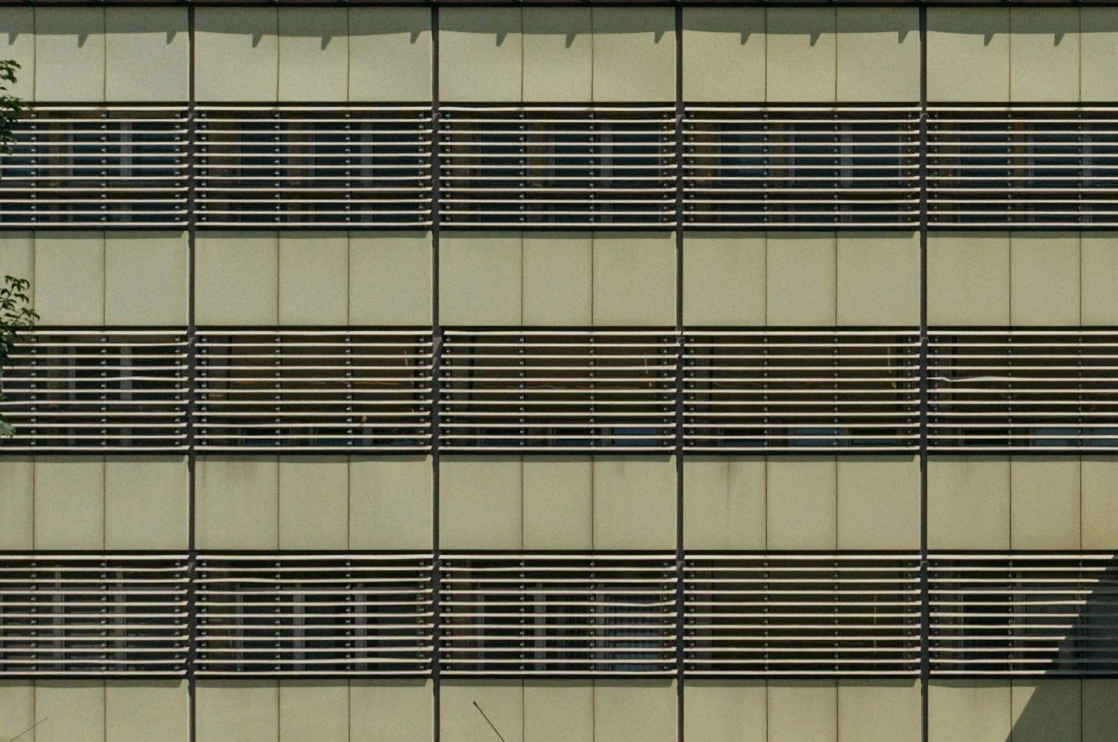 The Grid is Destiny