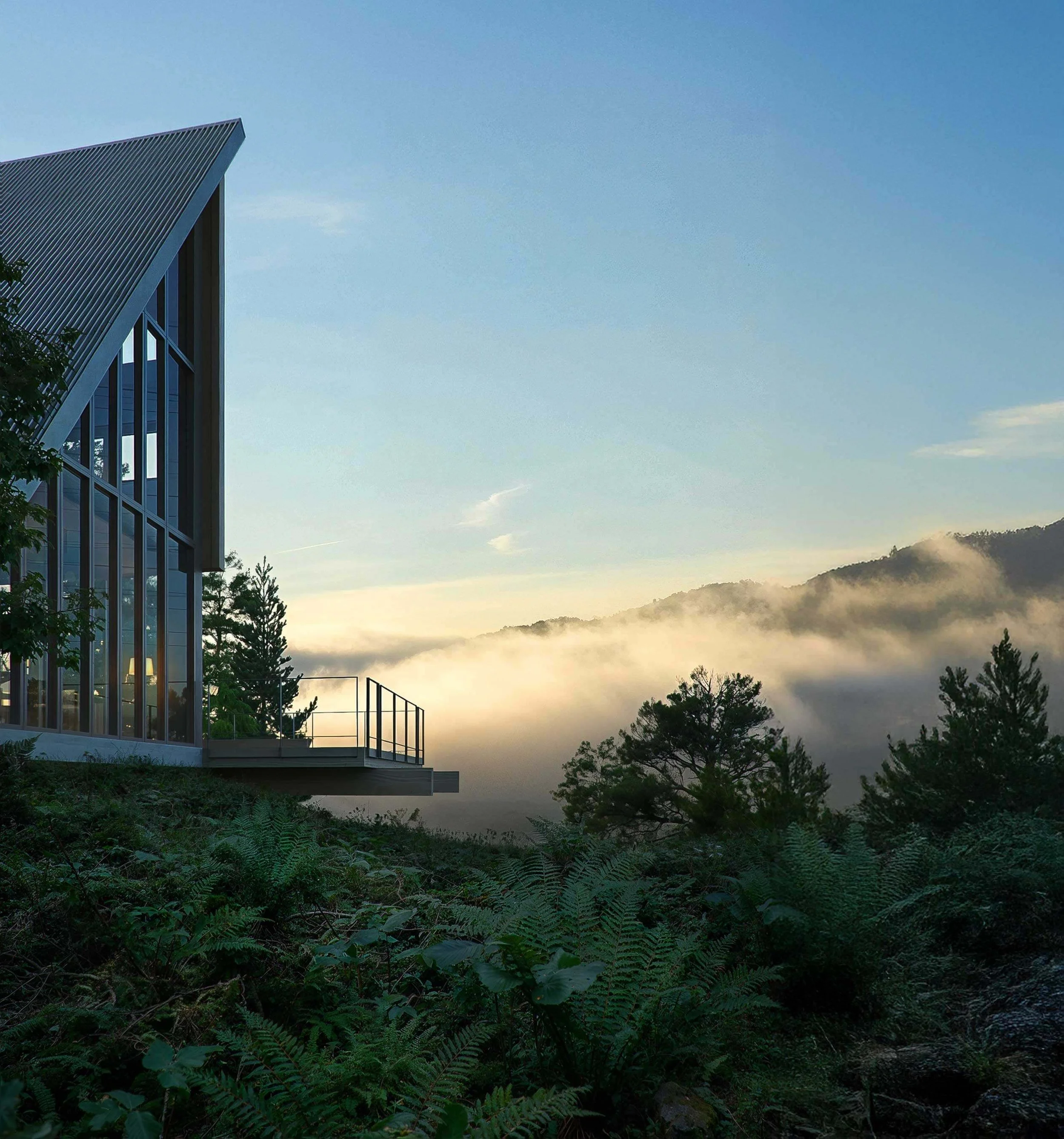 The Italic A house on a forested hillside in West Marin