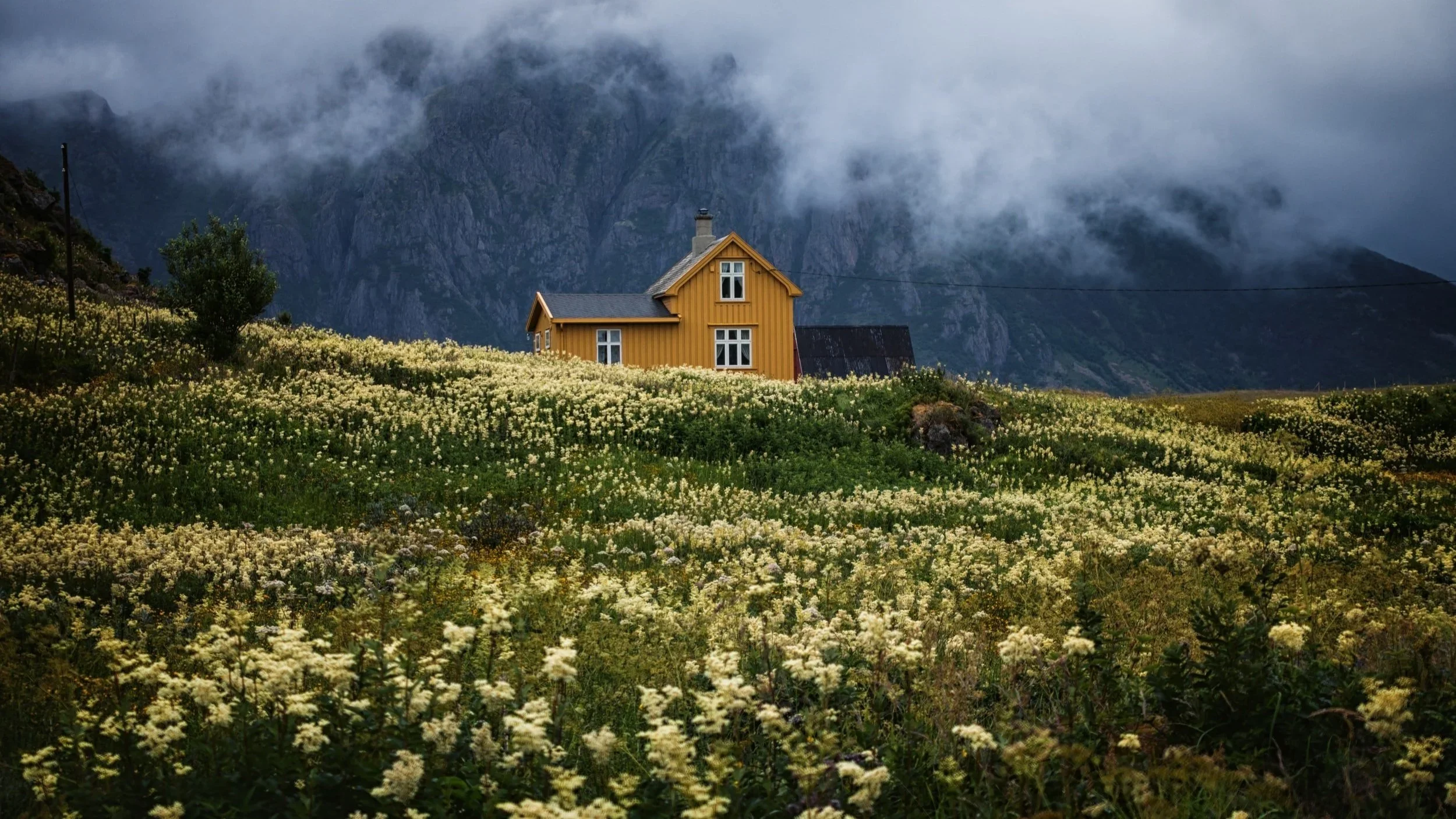 How to Properly Site a Home