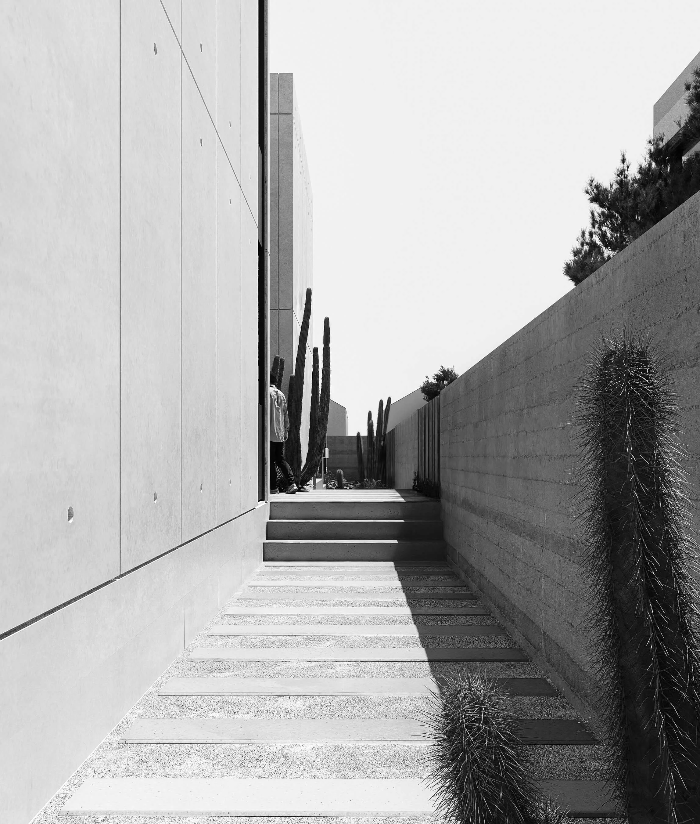 Narrow landscaped passage between the fire-resilient exterior walls of Dappled House