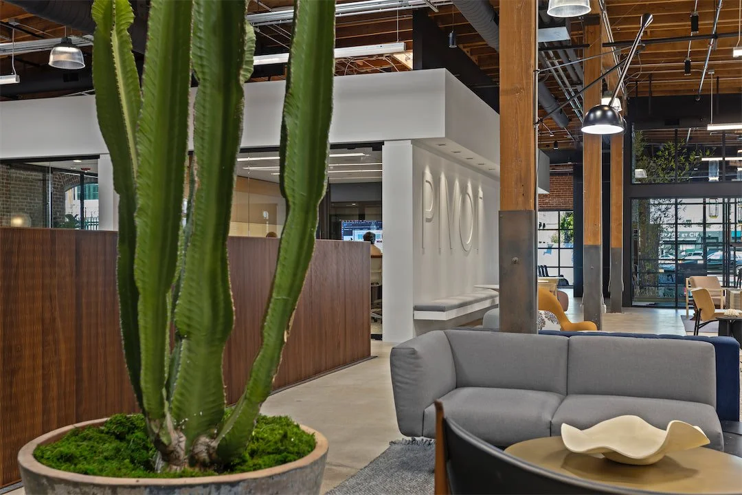 Furniture display and collaborative workspace beneath the exposed timber structure at Pivot Interiors