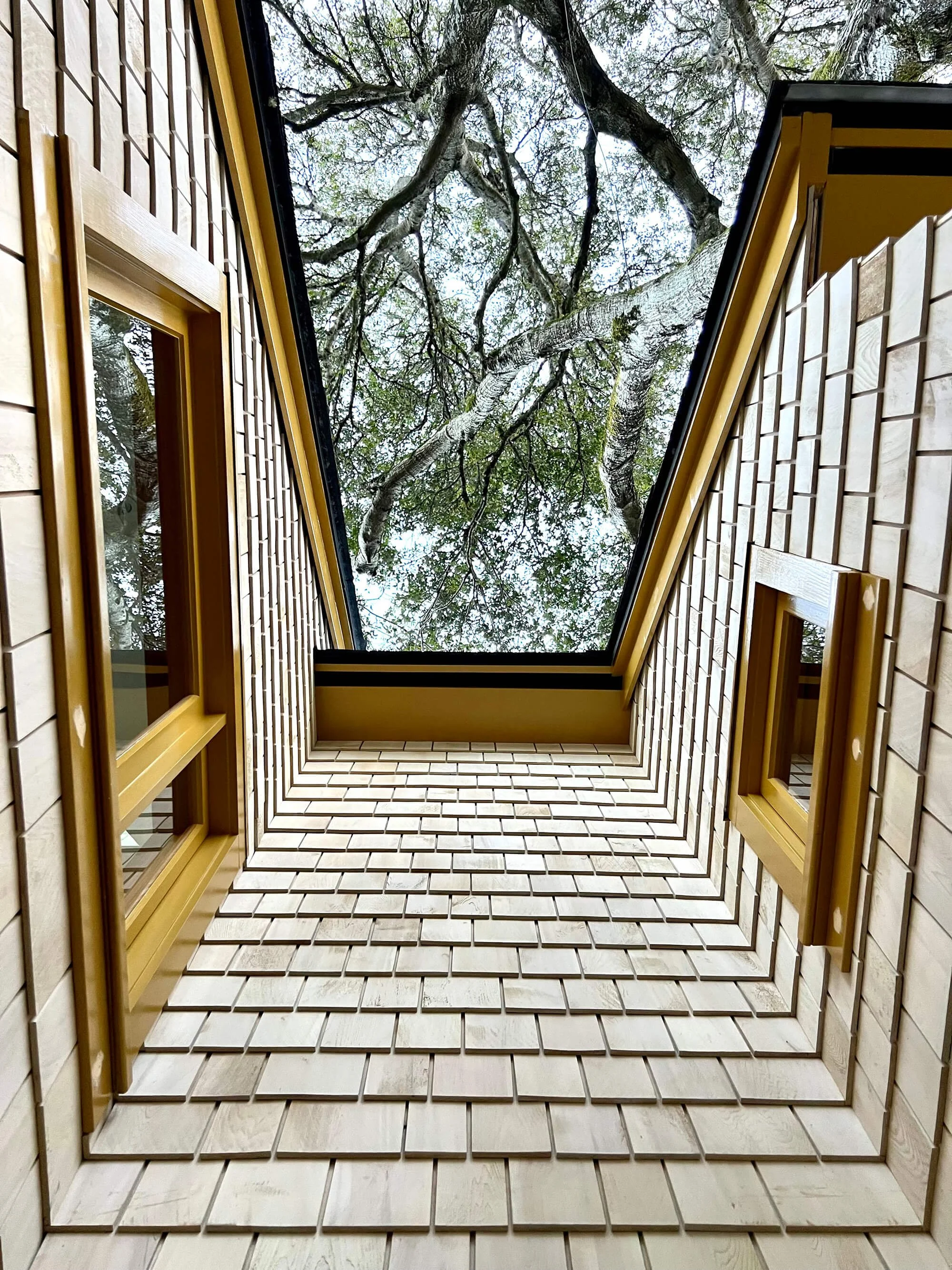 Skylight opening between cedar-shingled roof forms framing the tree canopy above