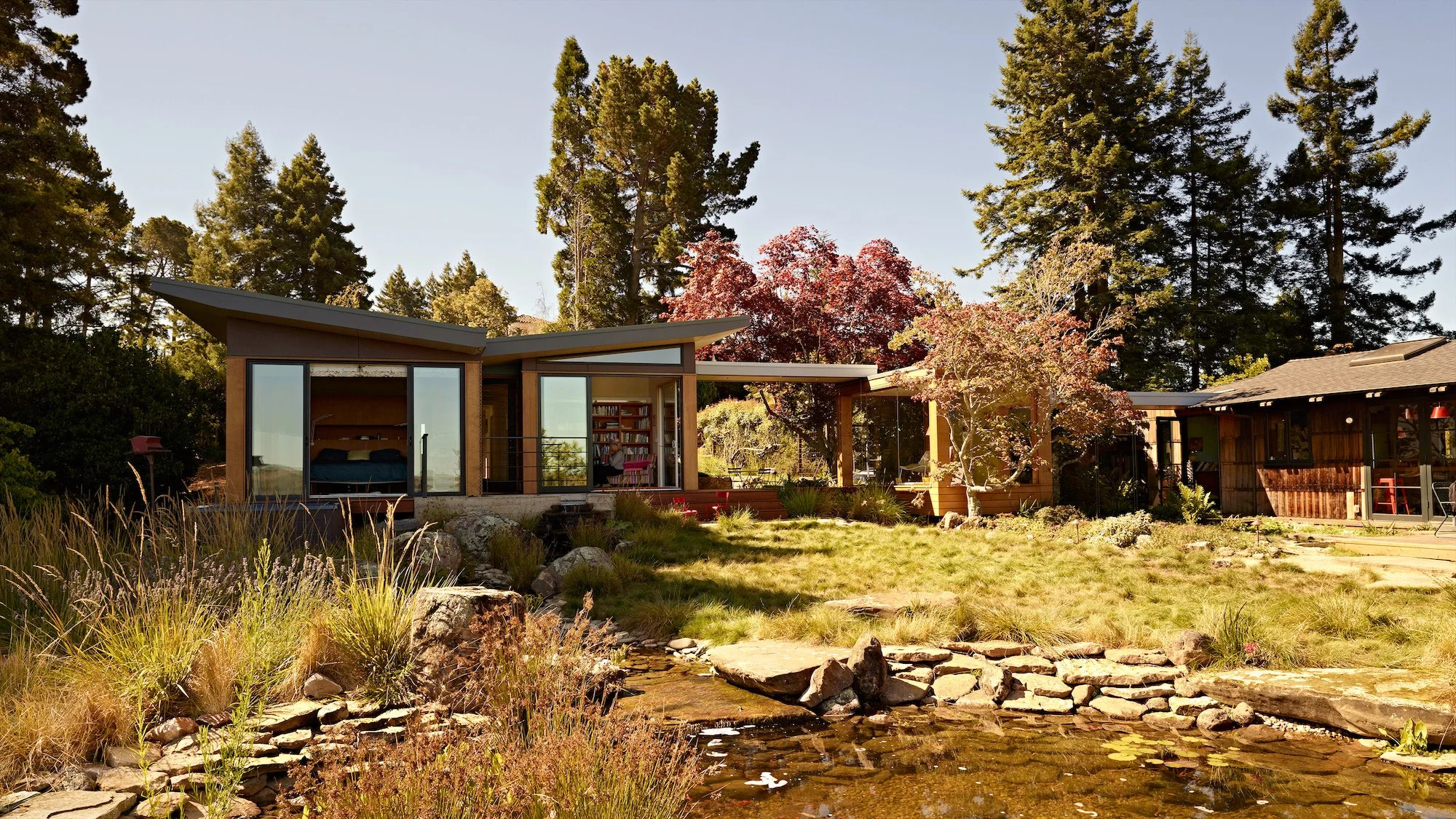 Butterfly House sleeping pavilion and original mid-century home framing a shared Berkeley garden