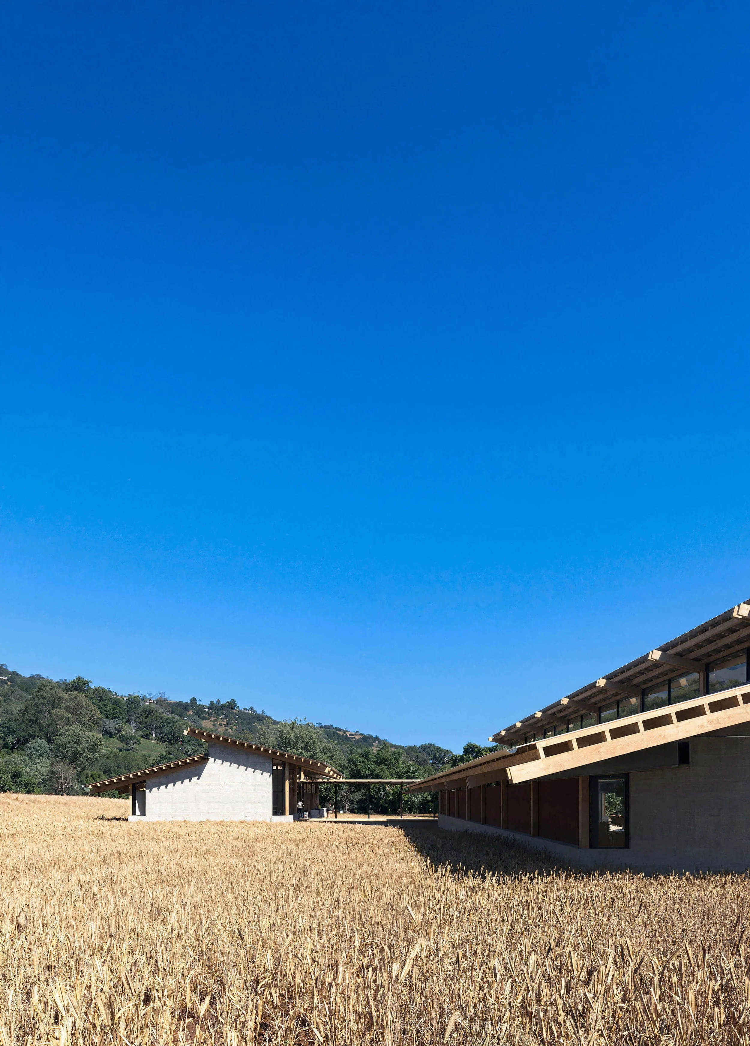SoCal Rancho buildings framing a field beneath deep projecting roofs