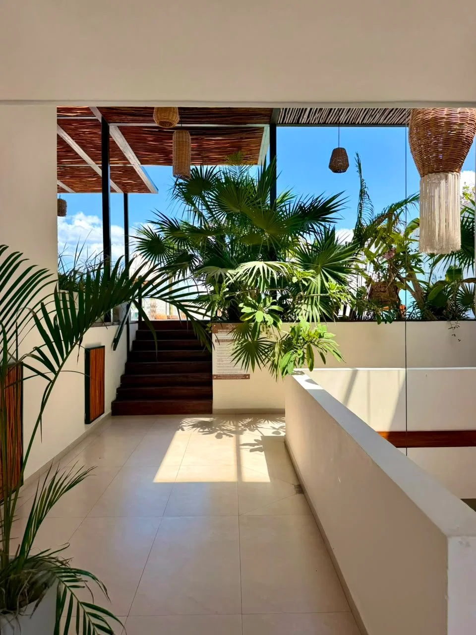 Pasillo con plantas verdes, escalera de madera, ventanas grandes y decoración con cestas de mimbre.