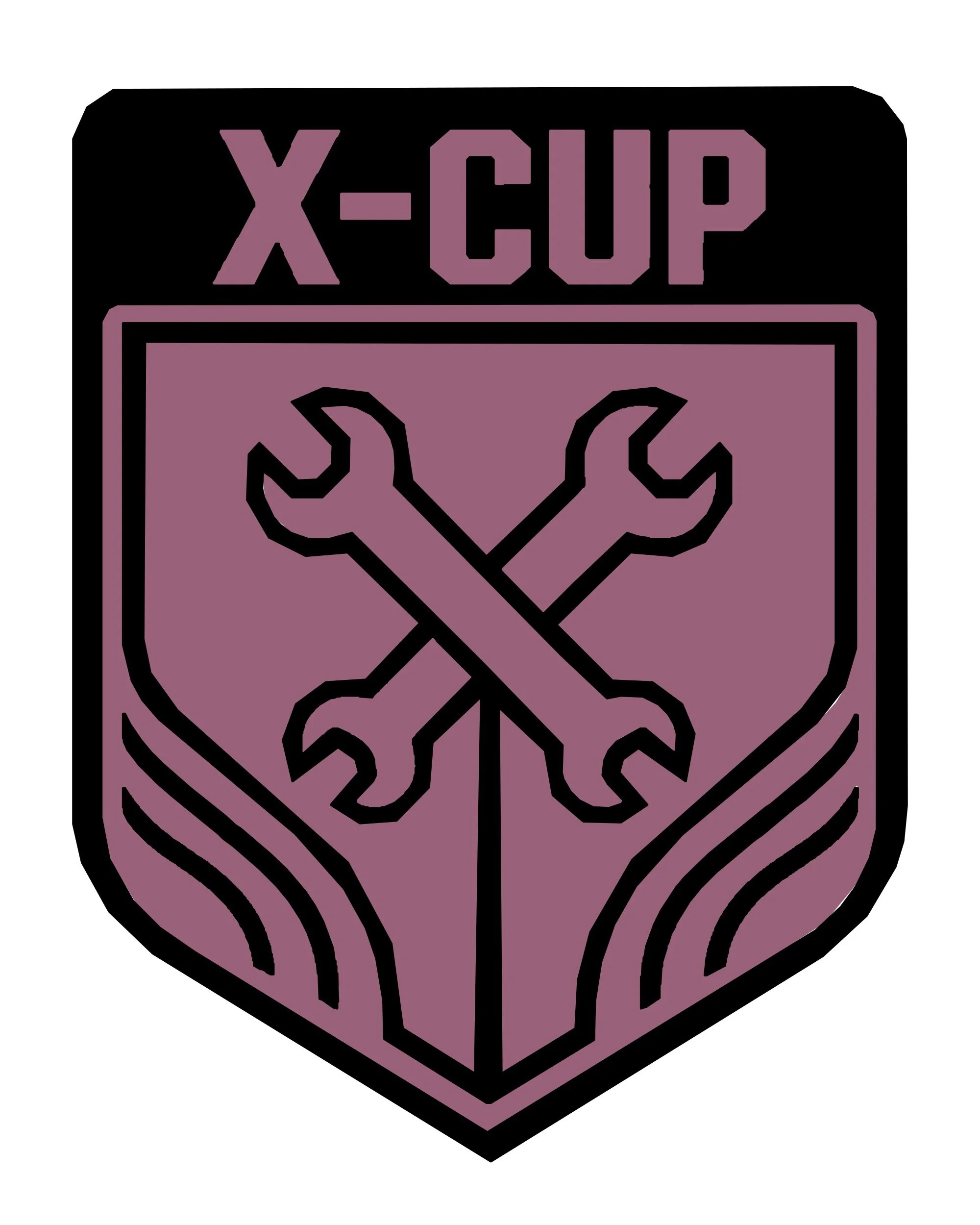 X-Cup division badge