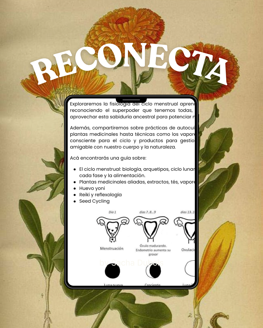Ebook Reconecta con tu Útero