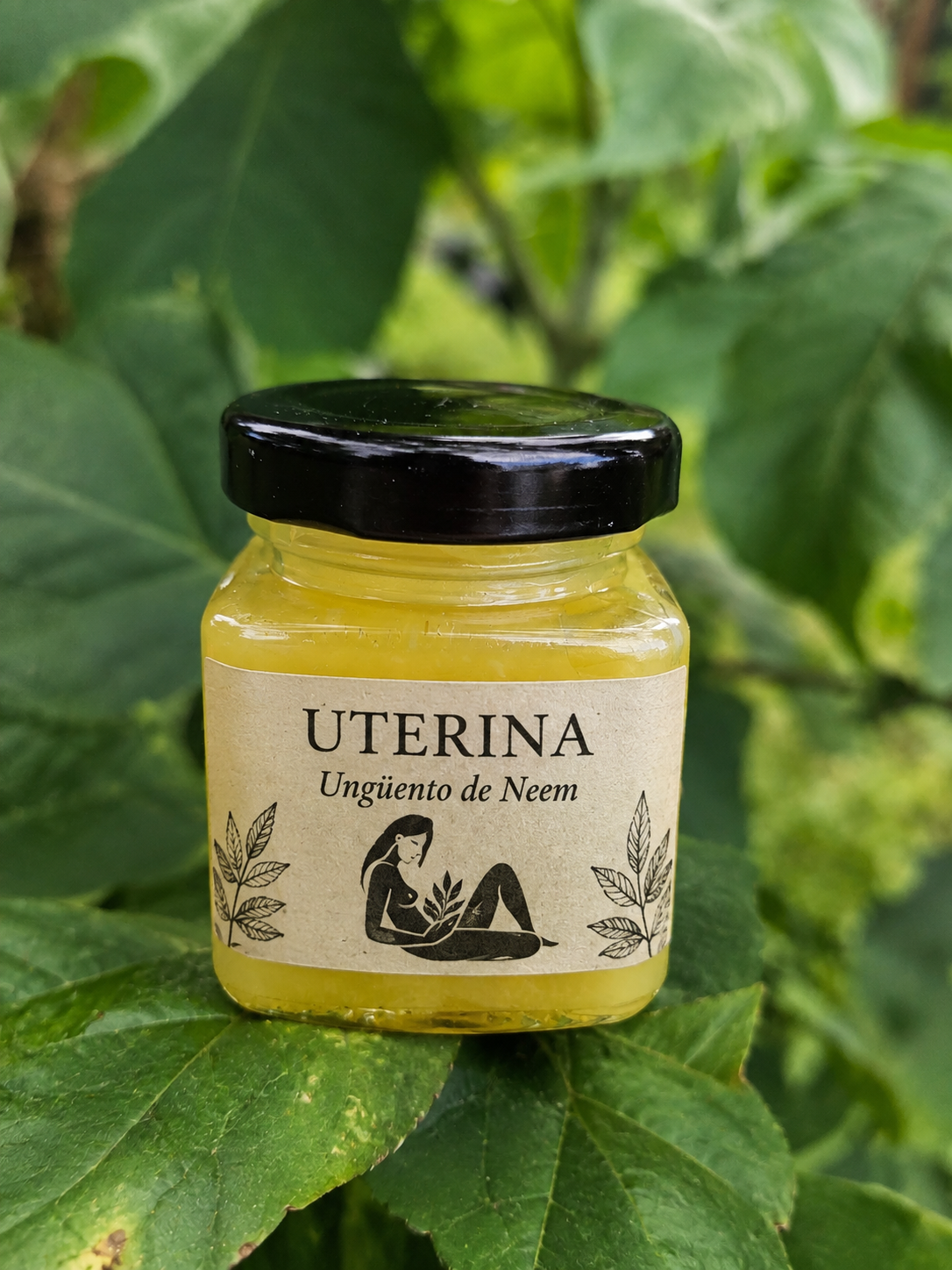 Ungüento de Neem