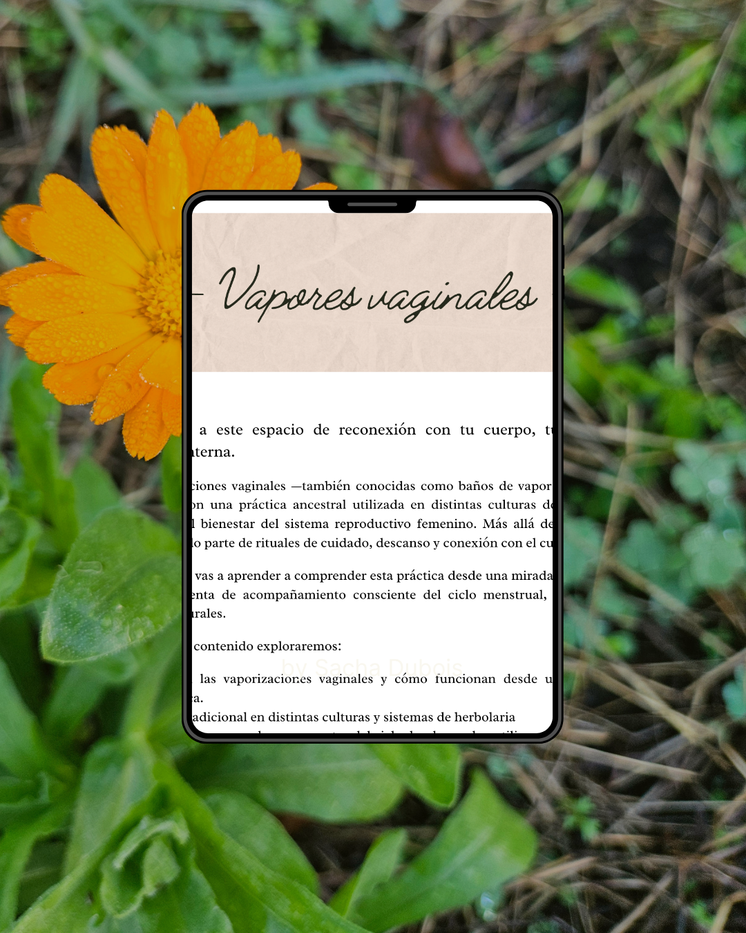 Ebook Vapores vaginales