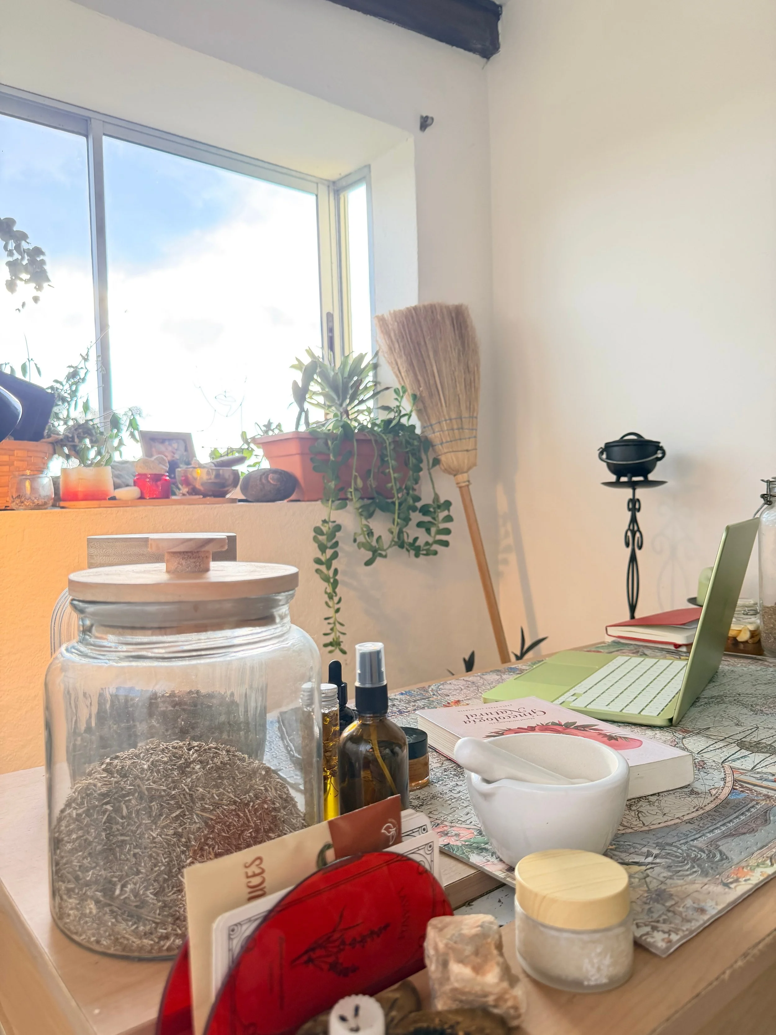 Vista del interior de una cocina con plantas en una ventana y diversos frascos y objetos en la mesa, incluyendo una laptop verde, un libro de cocina, y varios frascos y plantas decorativas.