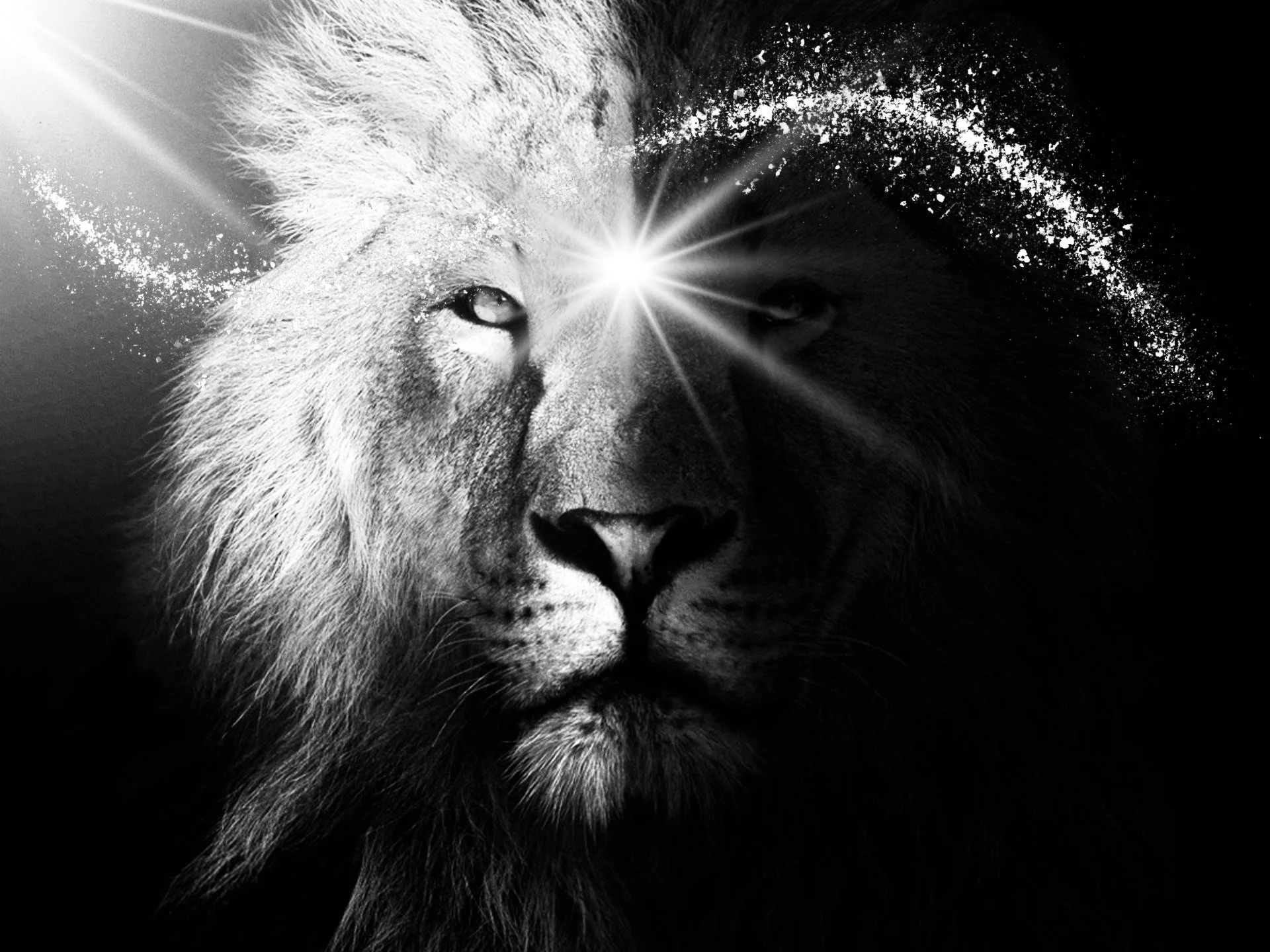 New Moon (Solar Eclipse) in Leo