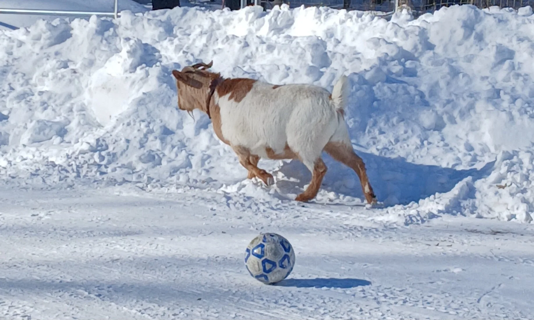 20260209_134743.jpg