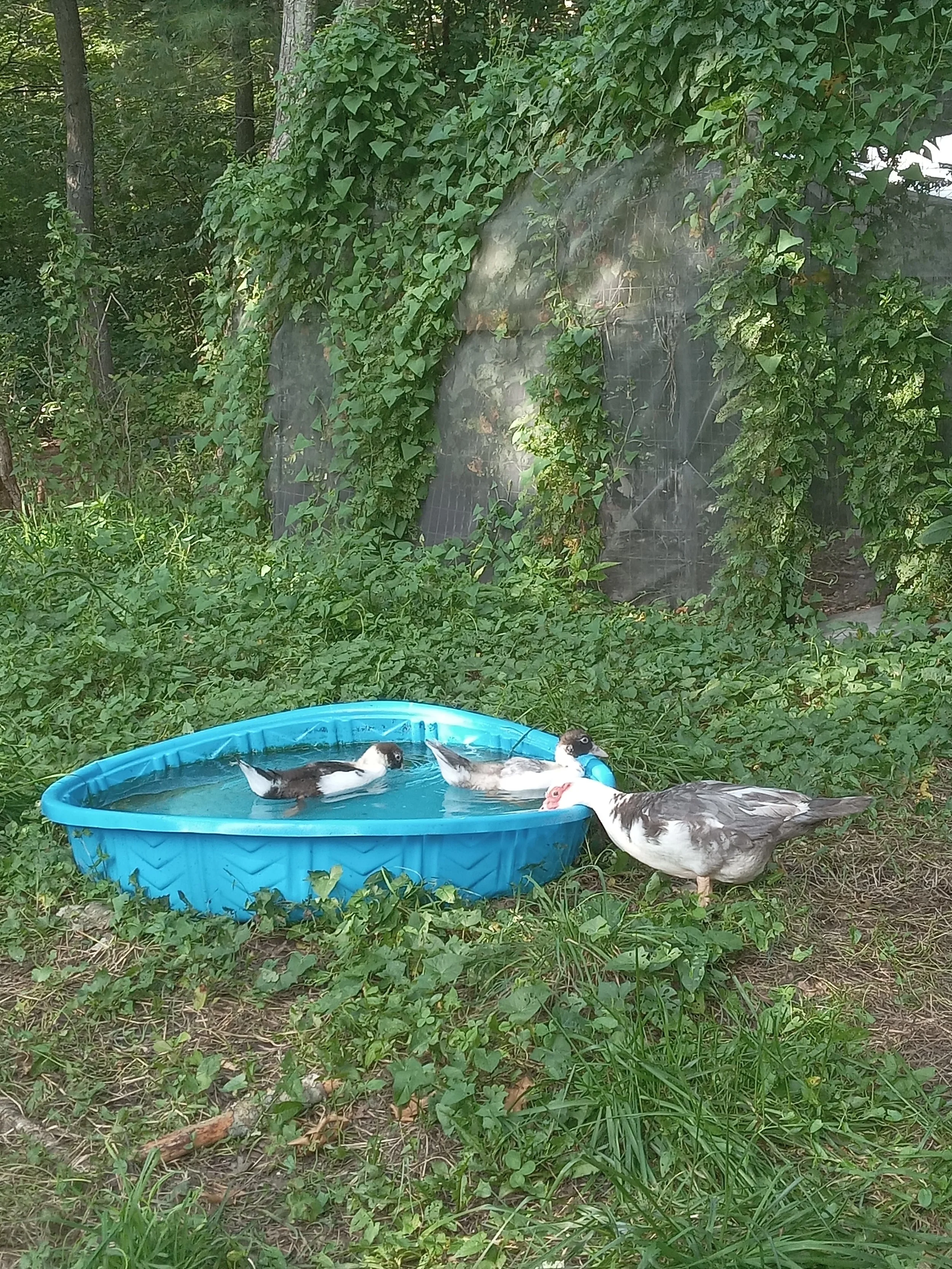 20240803_171016.jpg