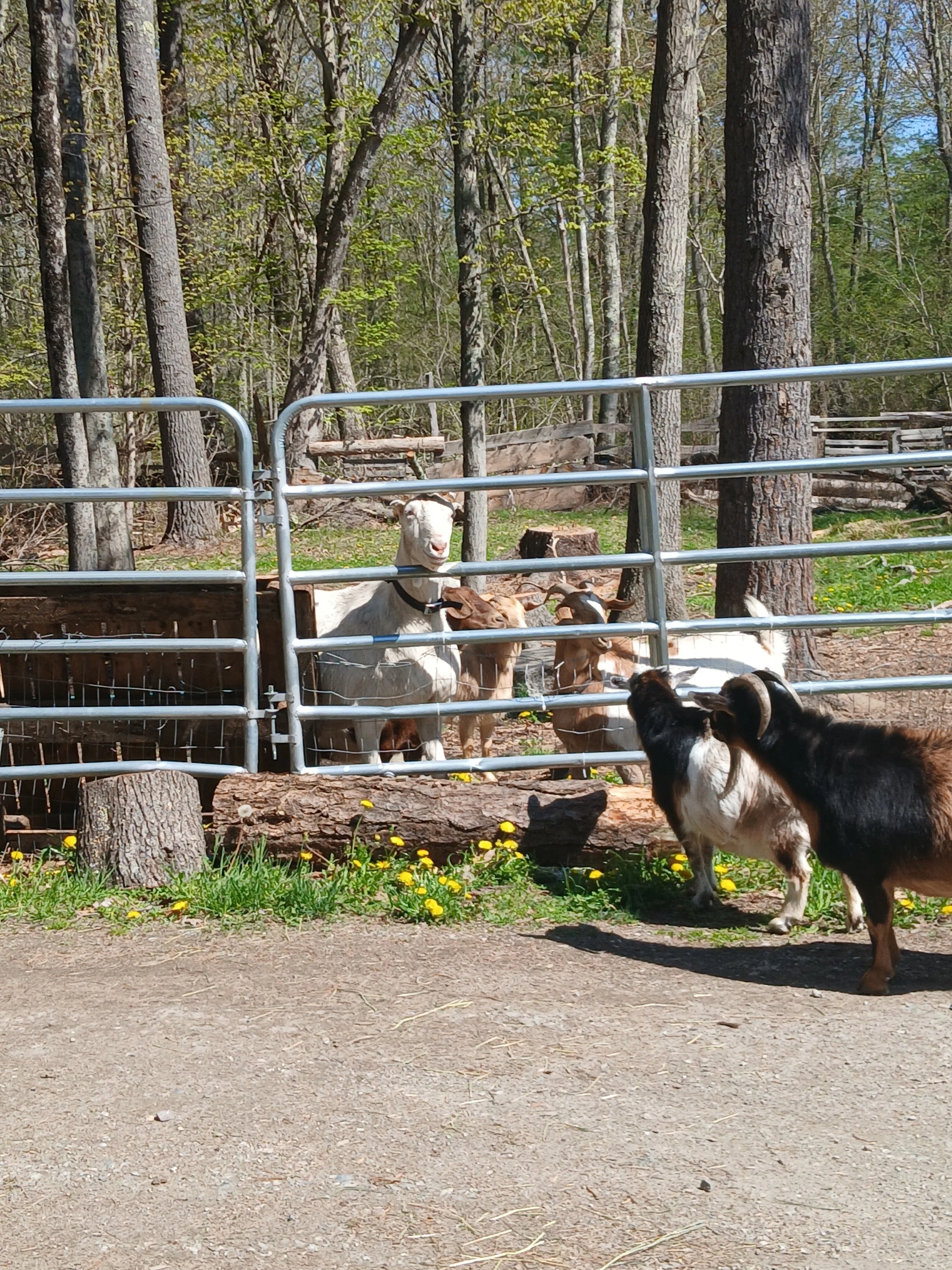 1000001141.jpg