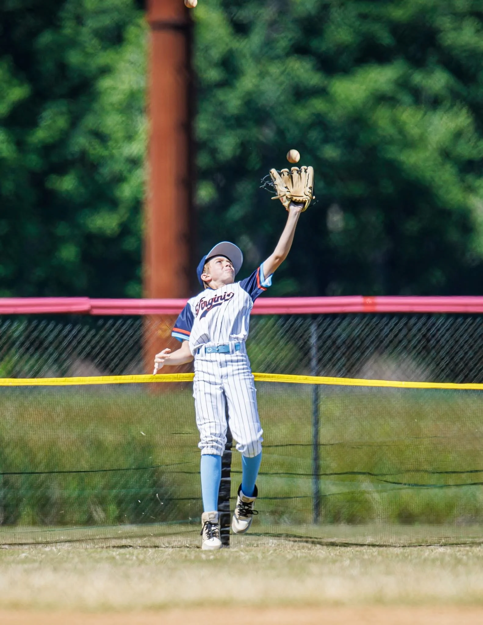 A young baseball player in a uniform and cap chesting a baseball with their glove while standing on a grassy field behind a safety net. The background features green trees and a wooden utility pole.