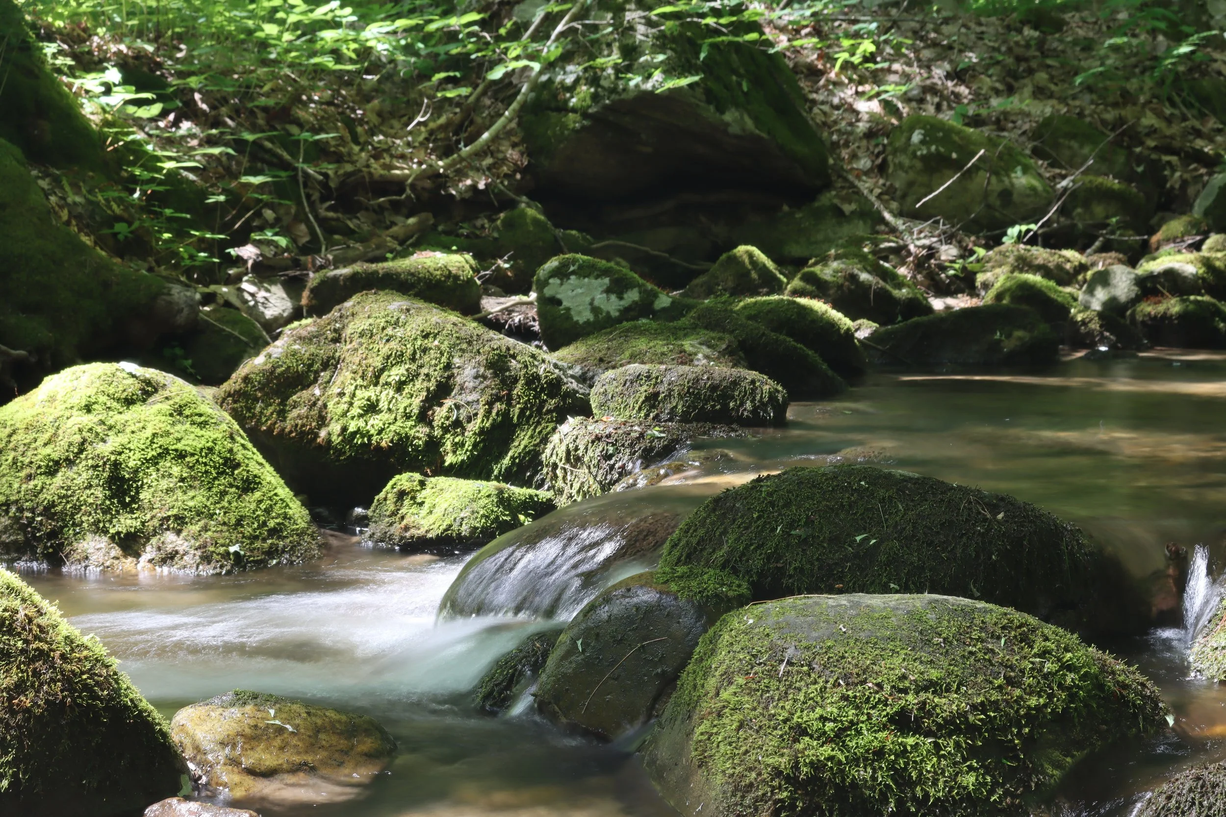 Silky Water