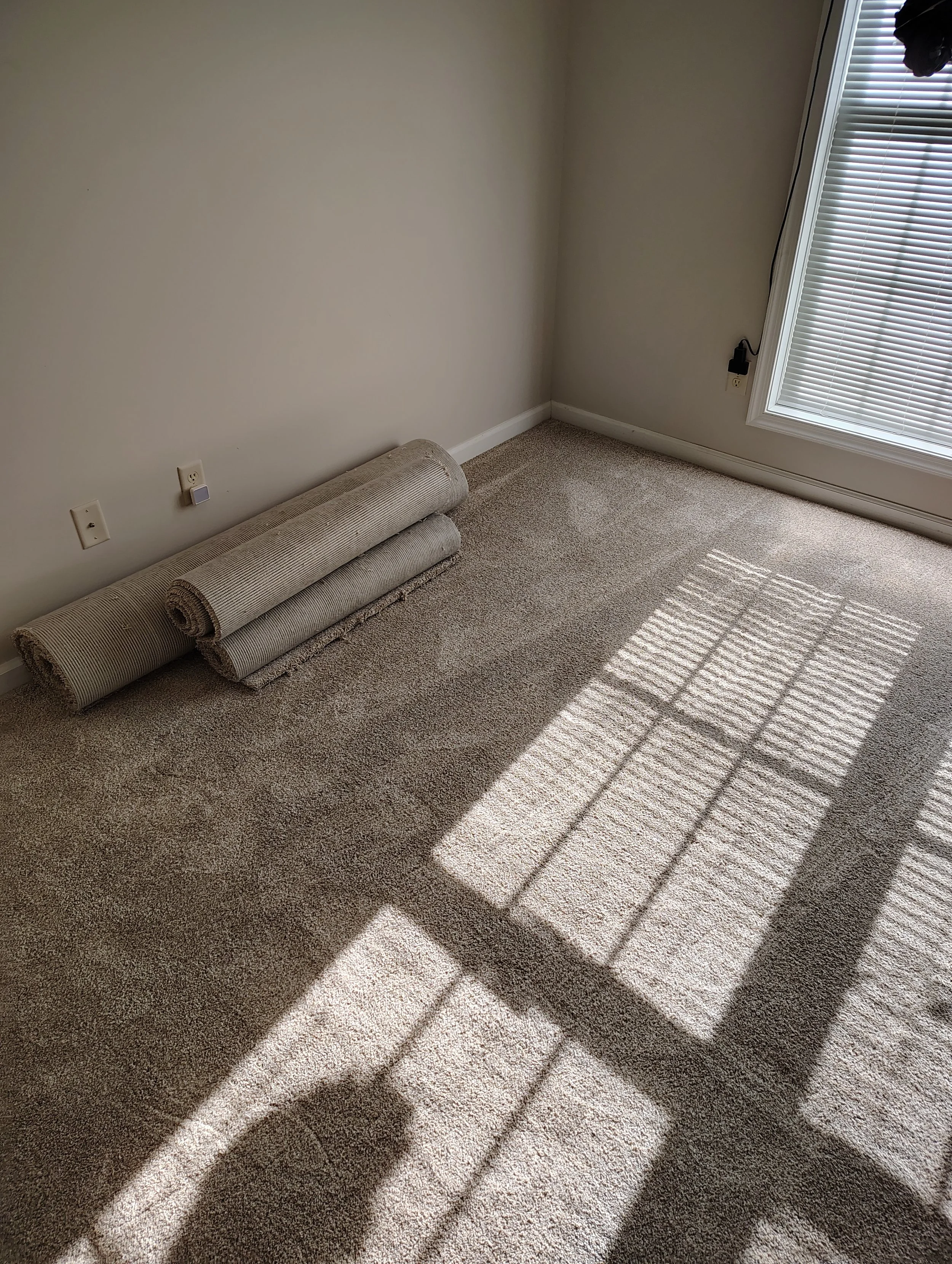 carpet.jpg