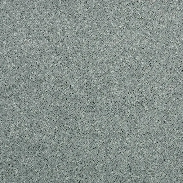 Graycliffe- Bold Approach lll- At Home