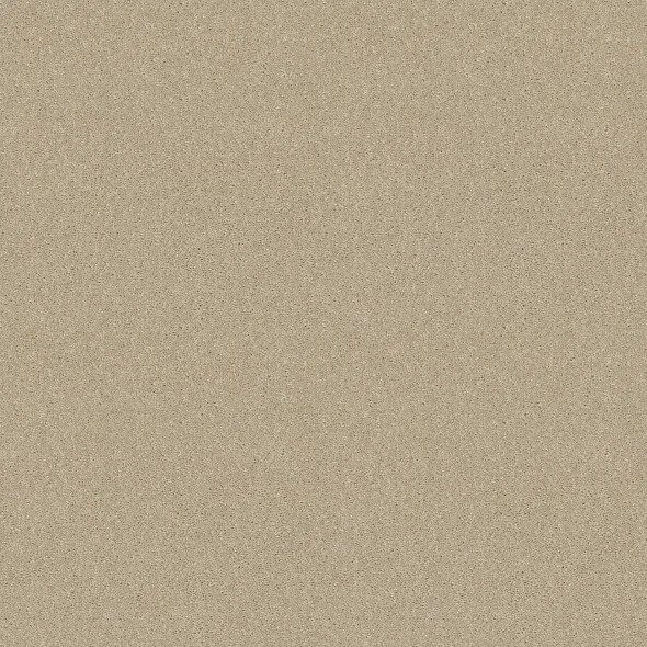 Creamy Delight- Bold Approach lll- At Home