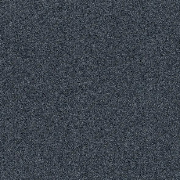 Oxford Blue- Bold Approach lll- At Home