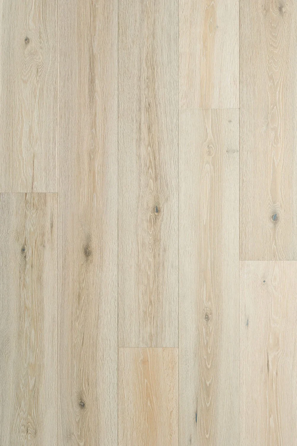 Avaron Collection-Abalone