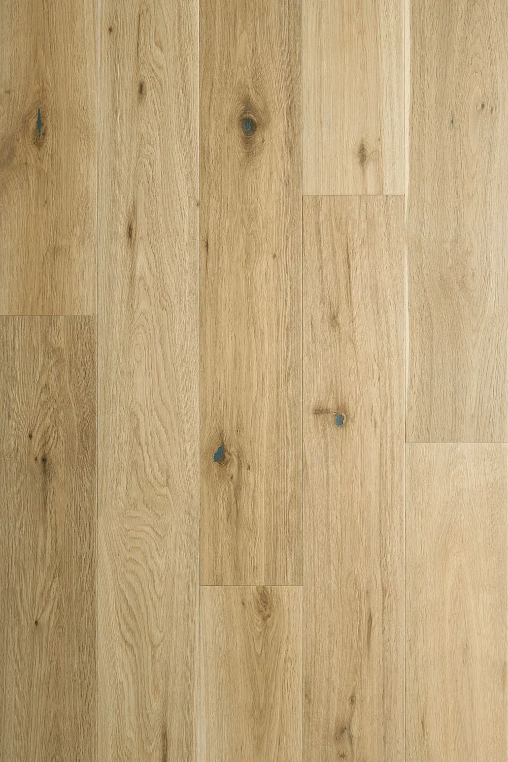 Avaron Collection- Grano Seco