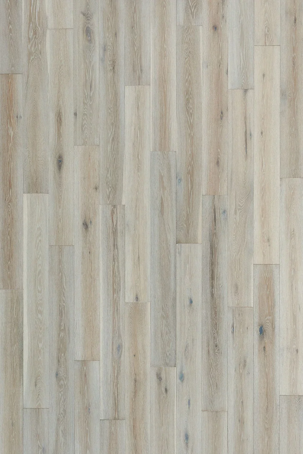 Avaron Collection-Niebla Gray