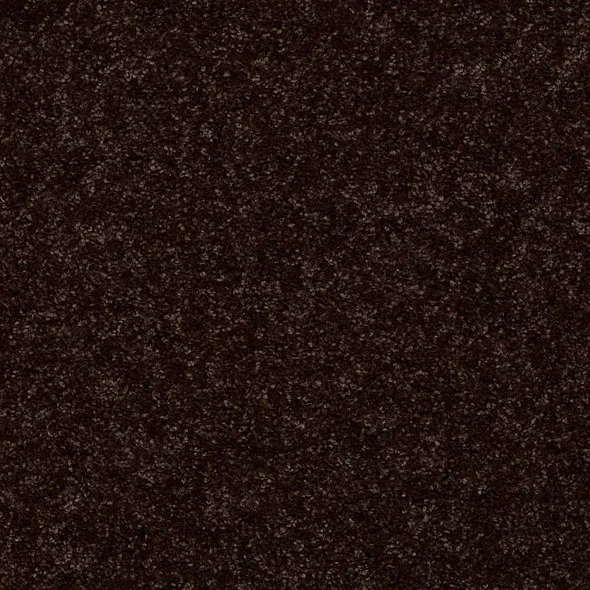 Dark Roast- Bainbridge ll- At Home