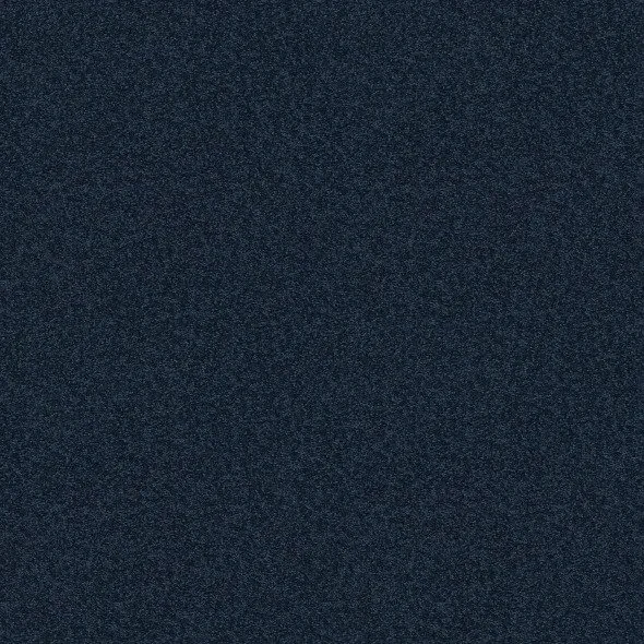 Patriot Blue- Bold Approach lll- At Home