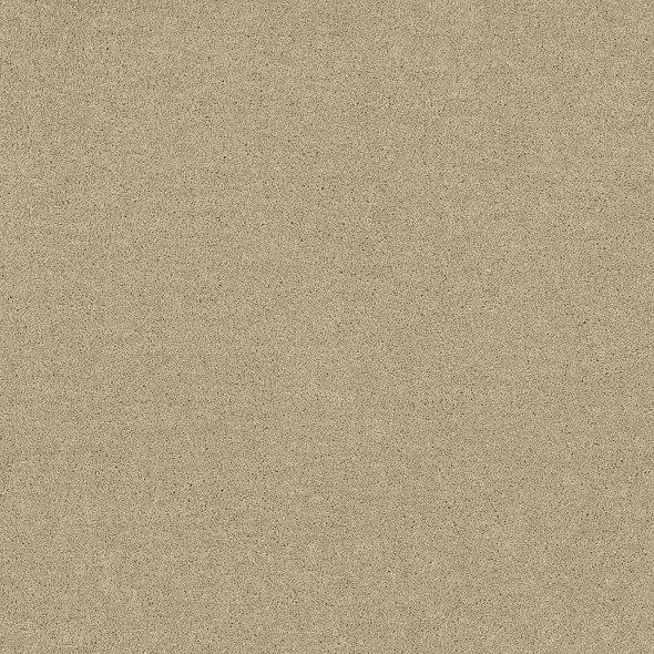 Desert Dunes- Bold Approach lll- At Home
