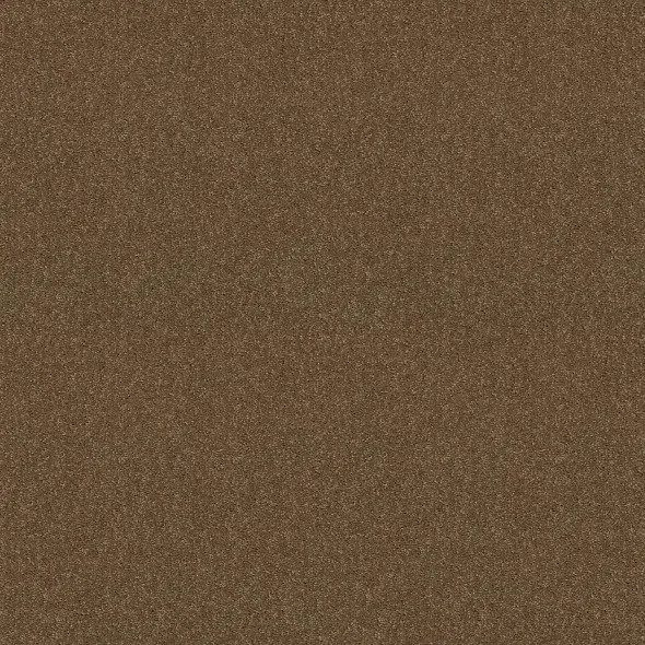 Woodland- Bold Approach lll- At Home