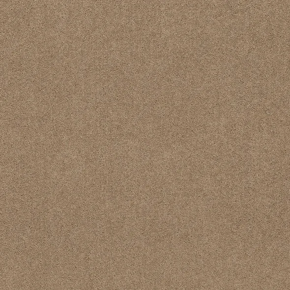 Chapel Stone- Bold Approach lll- At Home
