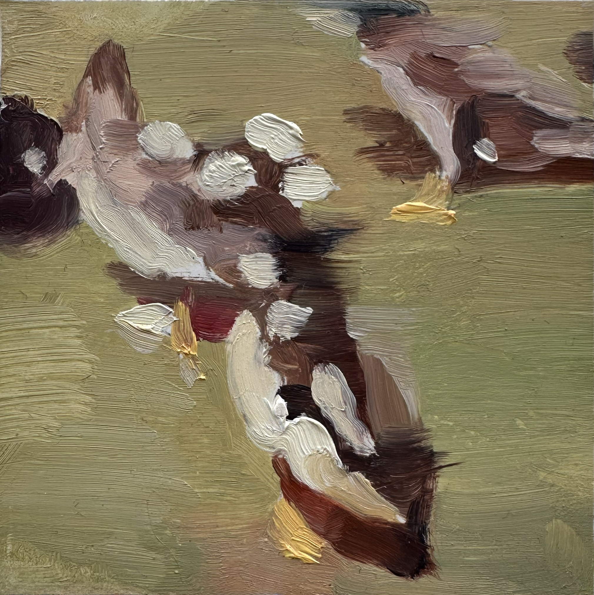duck pond oil on wood panel 3 x 3