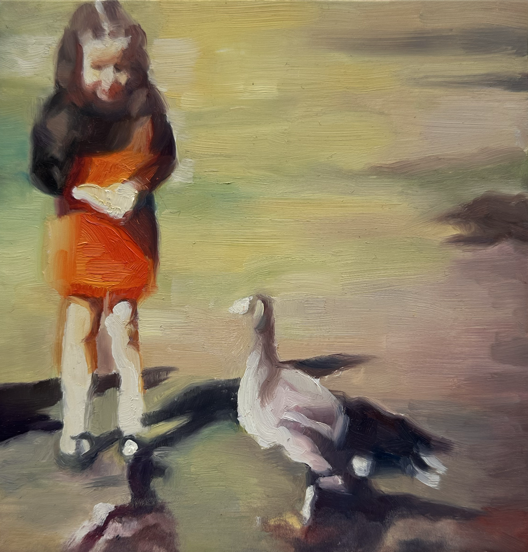 duck pond