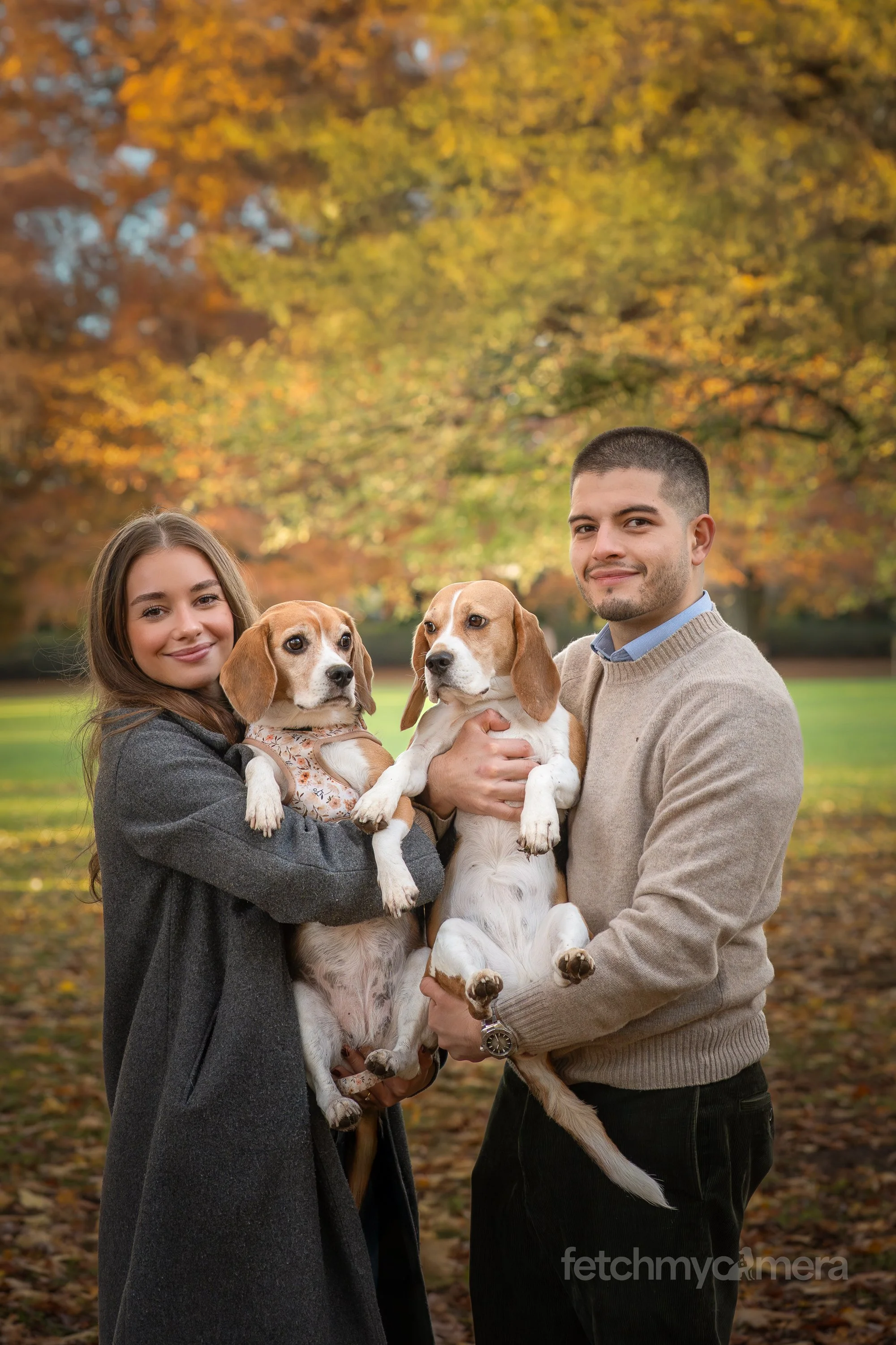 Kiko and Koko the Beagles