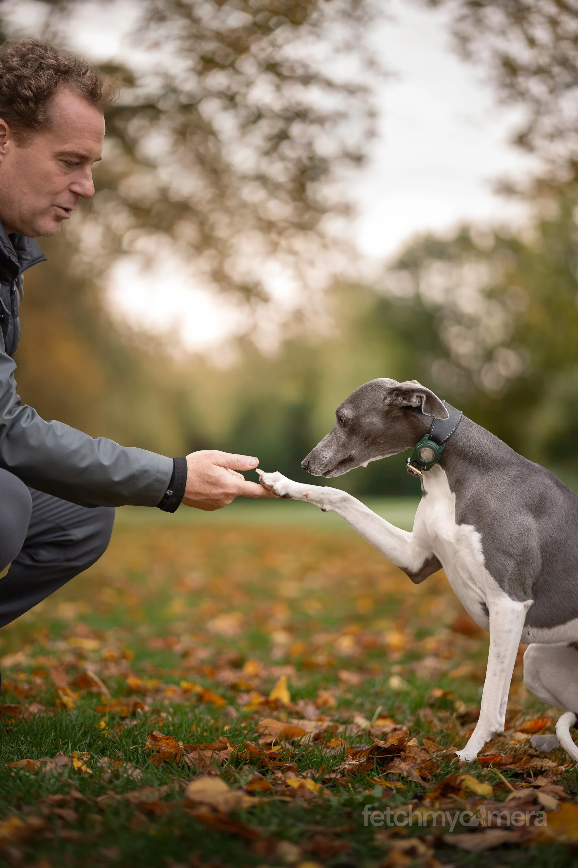 Adam James and his Whippet Margot