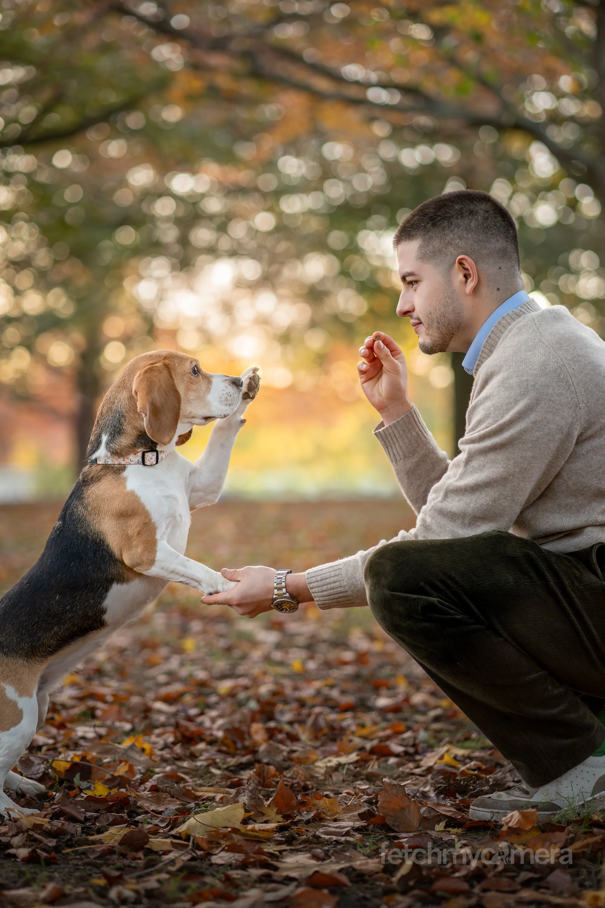 Kiko and Koko the Beagles