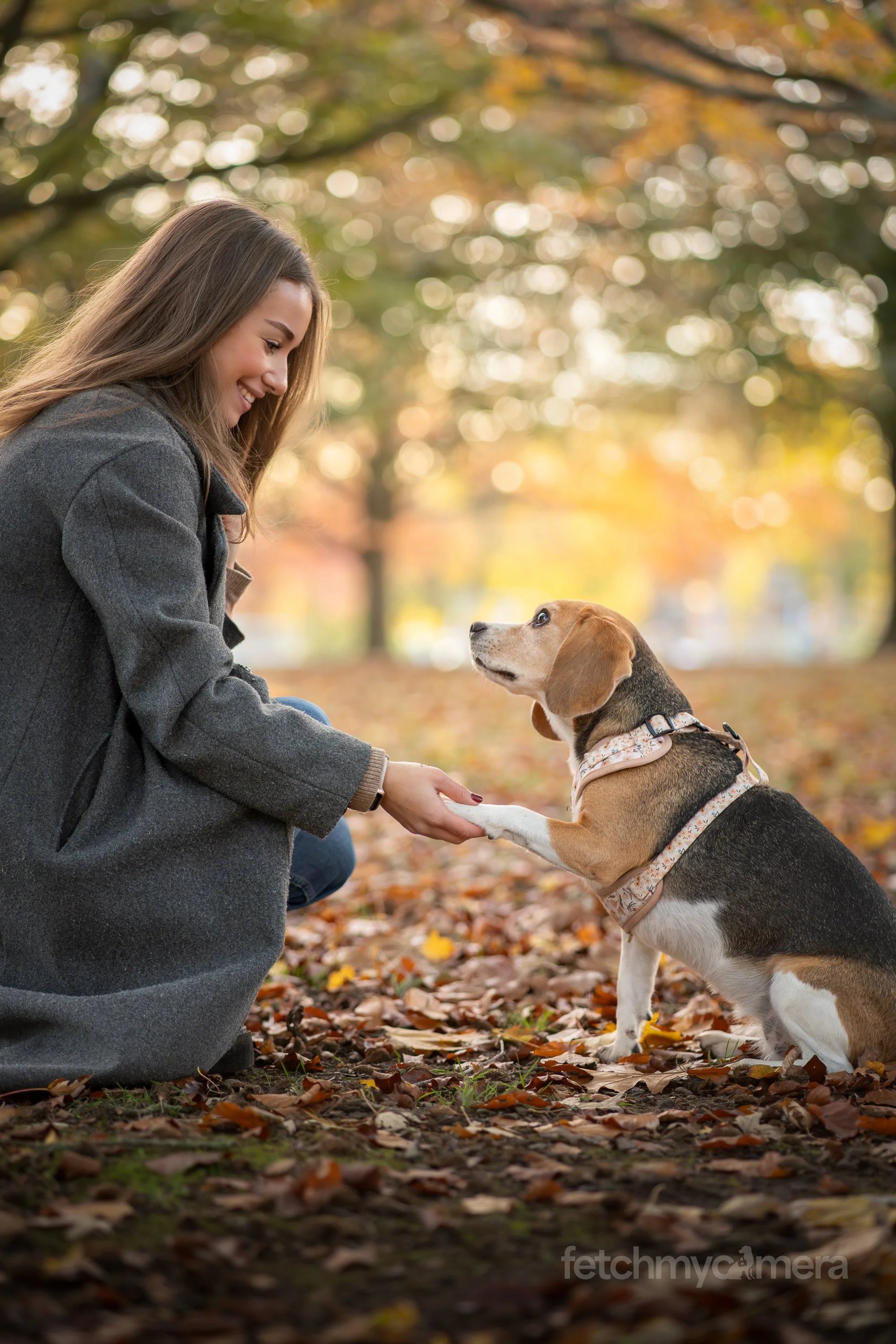 Kiko and Koko the Beagles