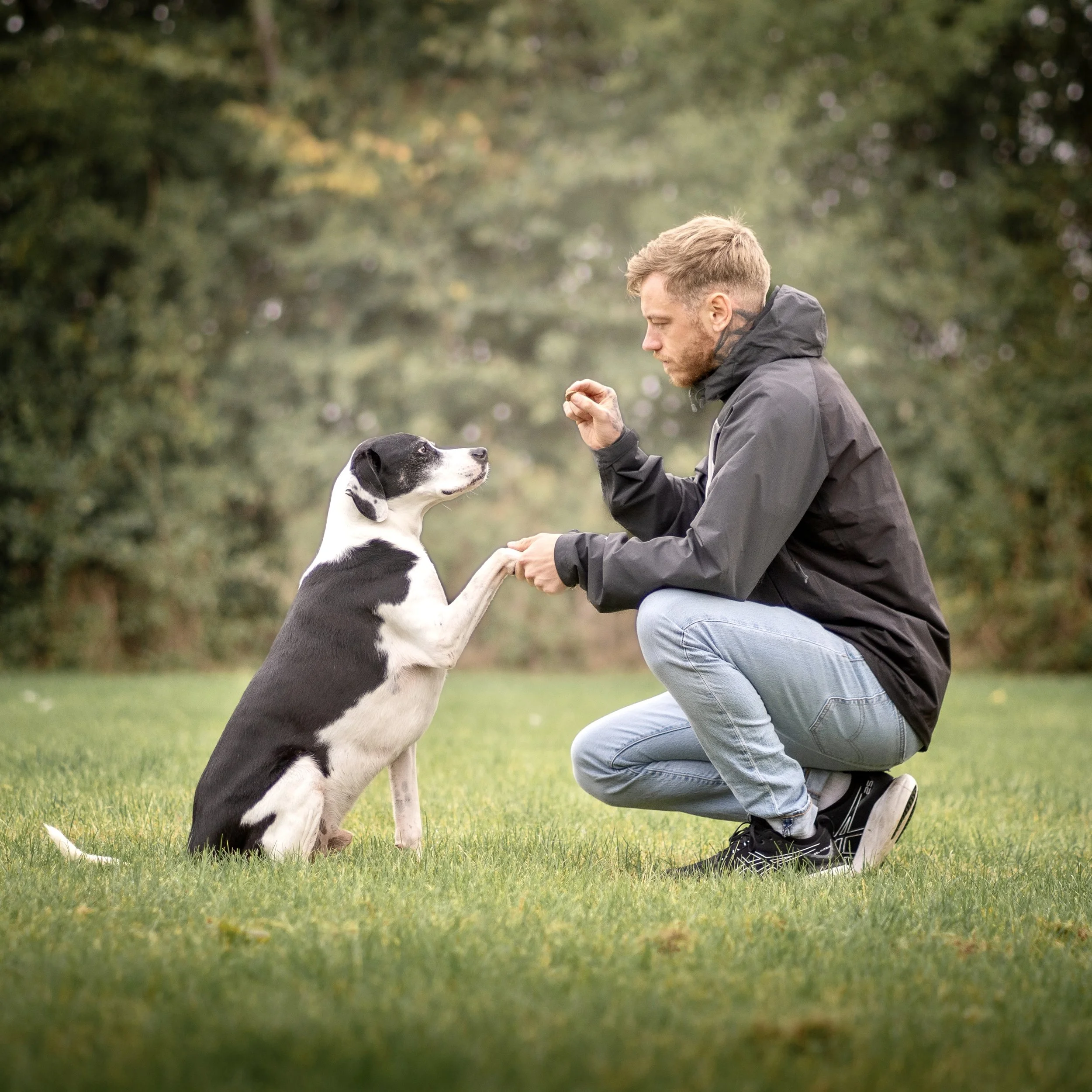 A man with light brown hair and a beard wearing a black jacket crouching in a park, holding a dog leash, with a black and white dog sitting attentively in front of him. The background is filled with green trees and grass.
