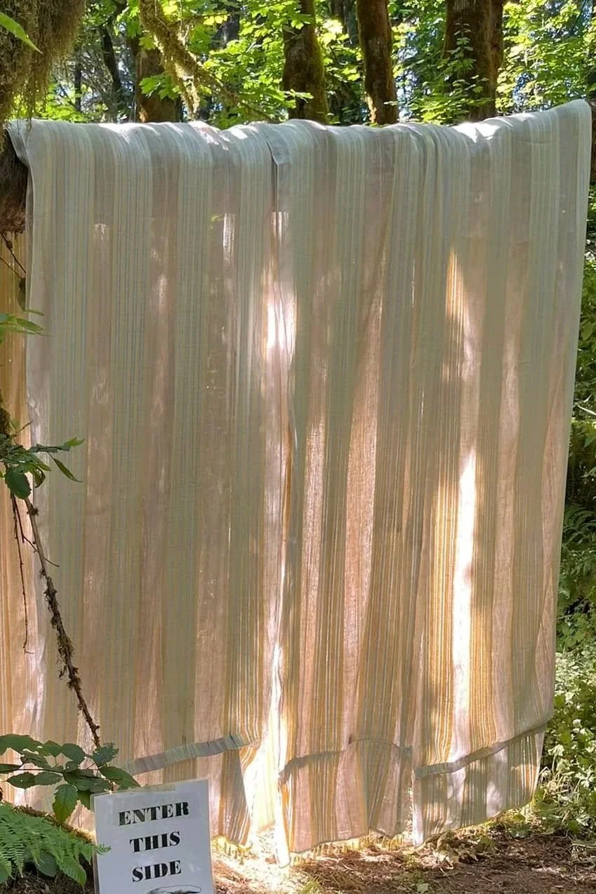 A faded curtain or fabric hanging outdoors in a wooded area, with a small sign that says "ENTER THIS SIDE" at the bottom left corner.