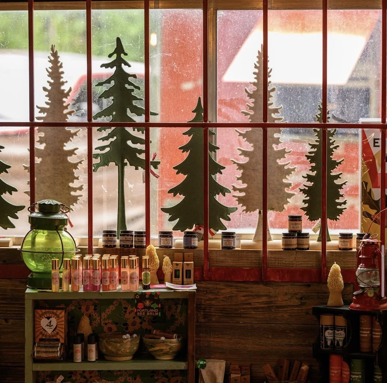 View of a rustic display shelf with various skincare products, candle tins, and decorative items, set against a window with silhouette cutout of pine trees and natural light.