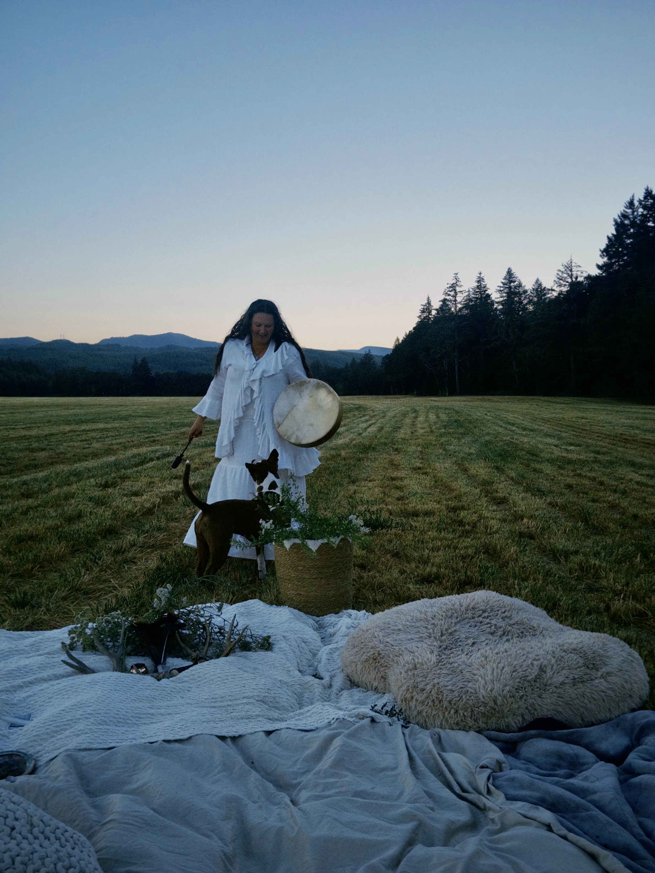 A woman in a white dress with ruffles is standing outdoors in a field at dusk. She is holding a large round drum, and there is a dog with black and white fur underneath her. The foreground is decorated with blankets, pillows, and flowers, creating a cozy setting. In the background, there are trees and mountains under a clear evening sky.
