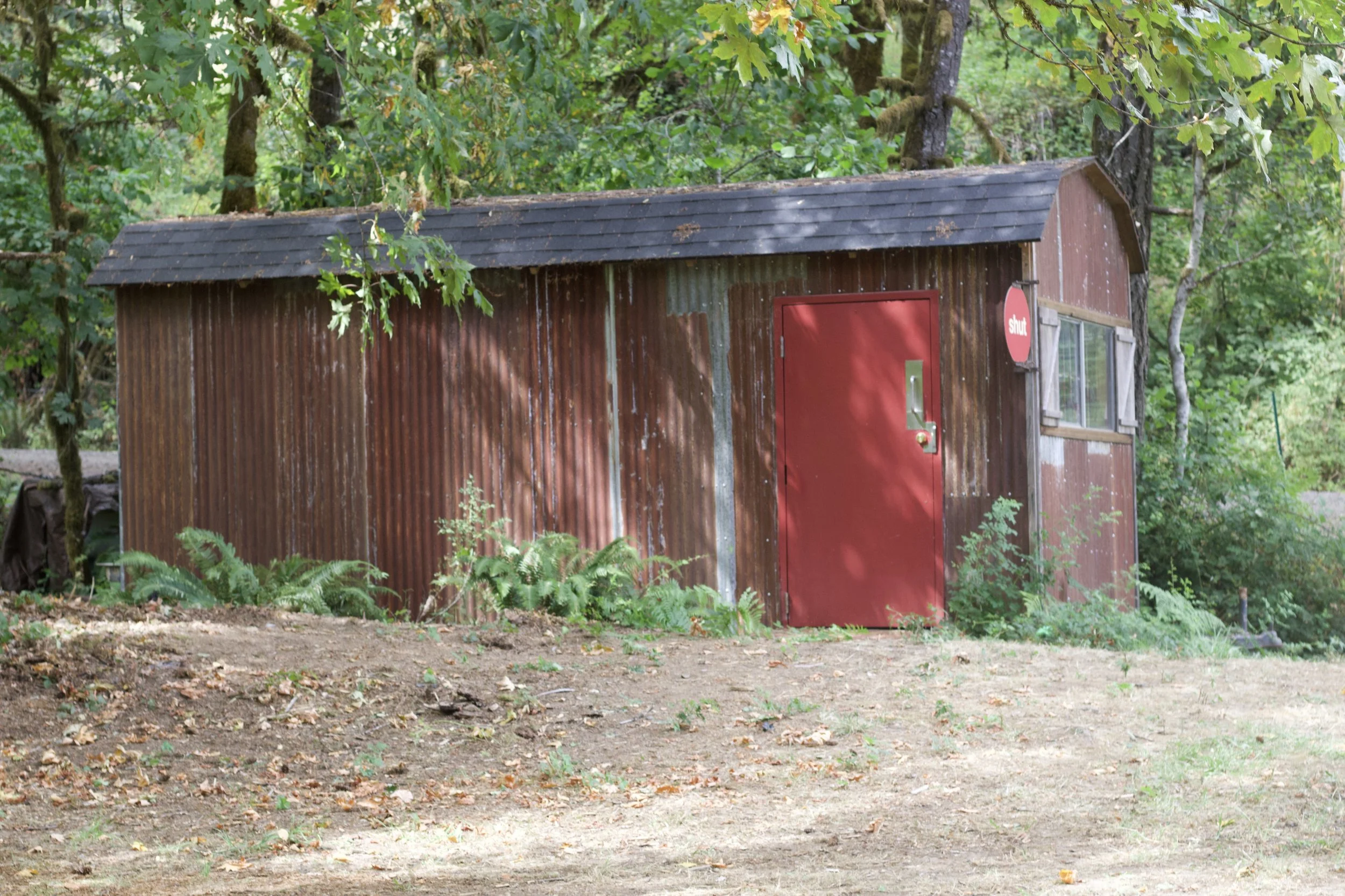 A small wooden shed with a dark shingled roof, red door, and windows, situated in a wooded outdoor area with trees and fallen leaves.