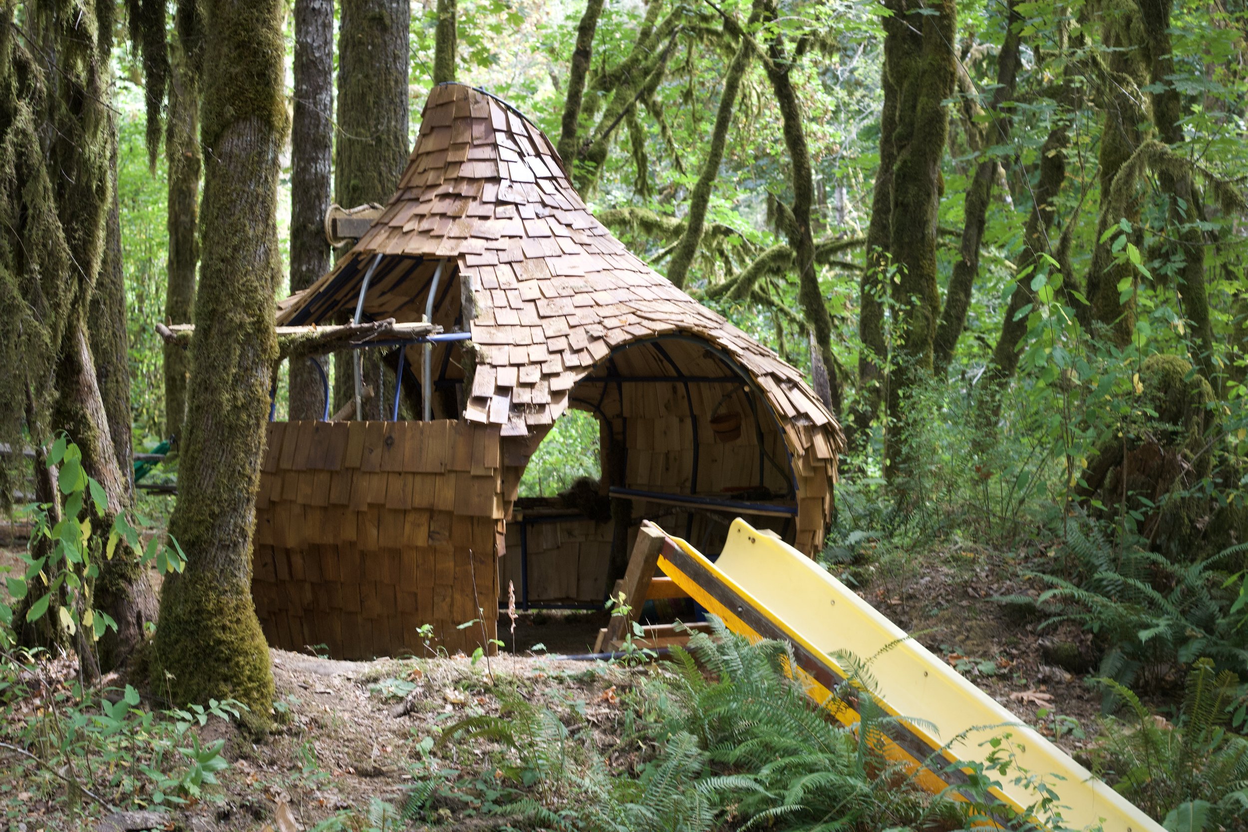 A small wooden treehouse under construction in a dense, green forest with tall moss-covered trees.