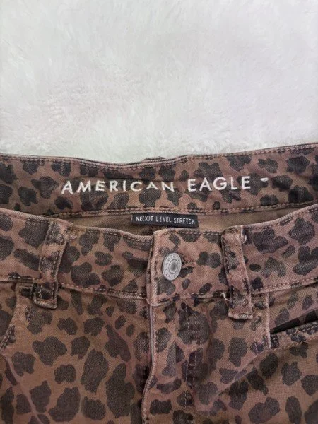 cheetahAE2.jpg